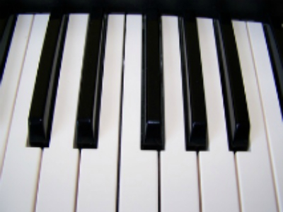 A close up of the keys on an electronic piano